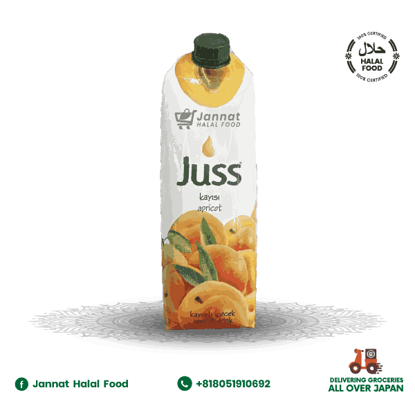 Juss Apricot Nectar Fruit Juice (1L)